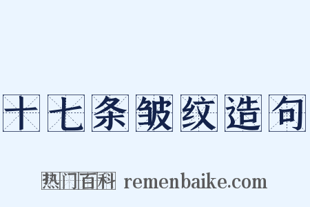 十七条皱纹造句是什么意思的图片
